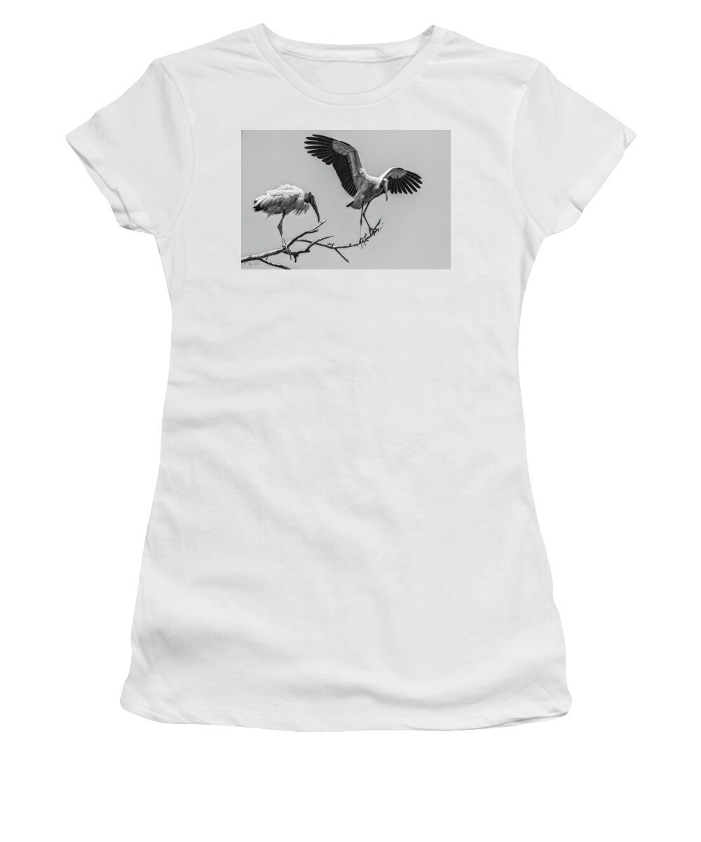 Coastal Women's T-Shirt featuring the photograph Just Landing by Ray Silva