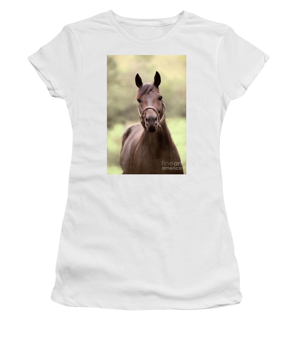 Rosemary Farm Women's T-Shirt featuring the photograph King Congie at Rosemary Farm by Carien Schippers