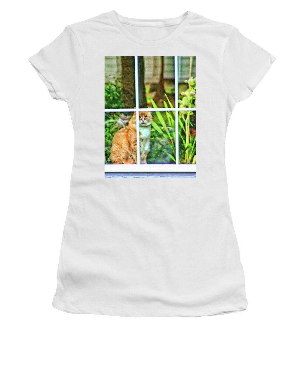 Cat Women's T-Shirt featuring the photograph Kitty Reflections by Wendy McKennon