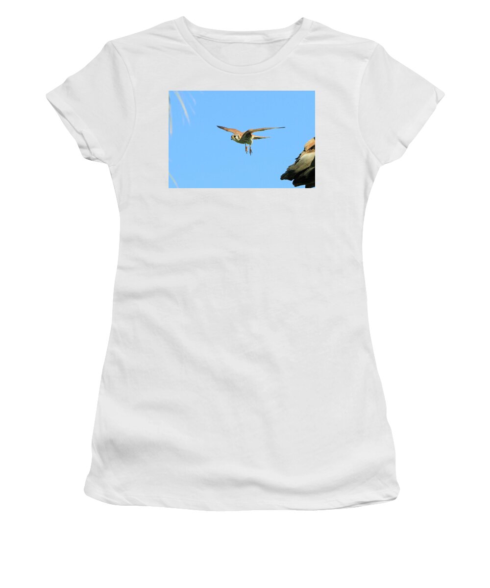 Kestrel Women's T-Shirt featuring the photograph Landing Gear Down by Shoal Hollingsworth