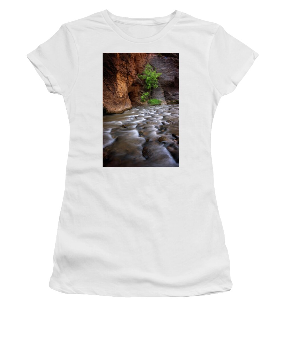 Zion National Park Women's T-Shirt featuring the photograph Last Stand by Dustin LeFevre