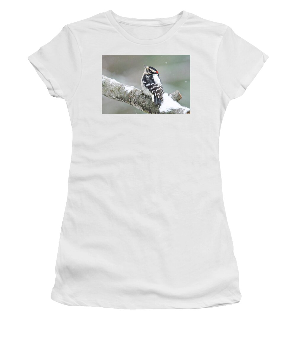 Male Women's T-Shirt featuring the photograph Let it Snow by Michael Peychich