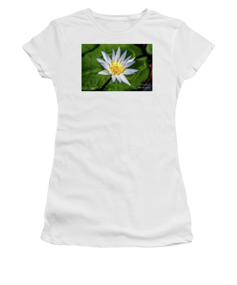 White Women's T-Shirt featuring the photograph Lily by Les Greenwood