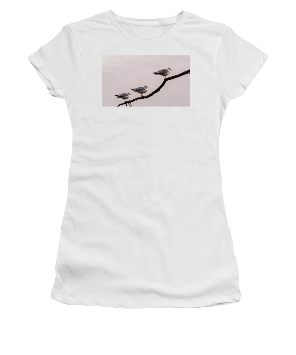Nature Women's T-Shirt featuring the photograph Line-up by Robert Mitchell