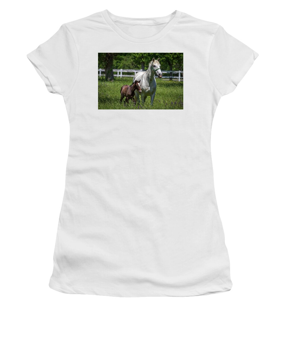Lipizzaner Women's T-Shirt featuring the photograph Lipizzan Horses by Stuart Litoff
