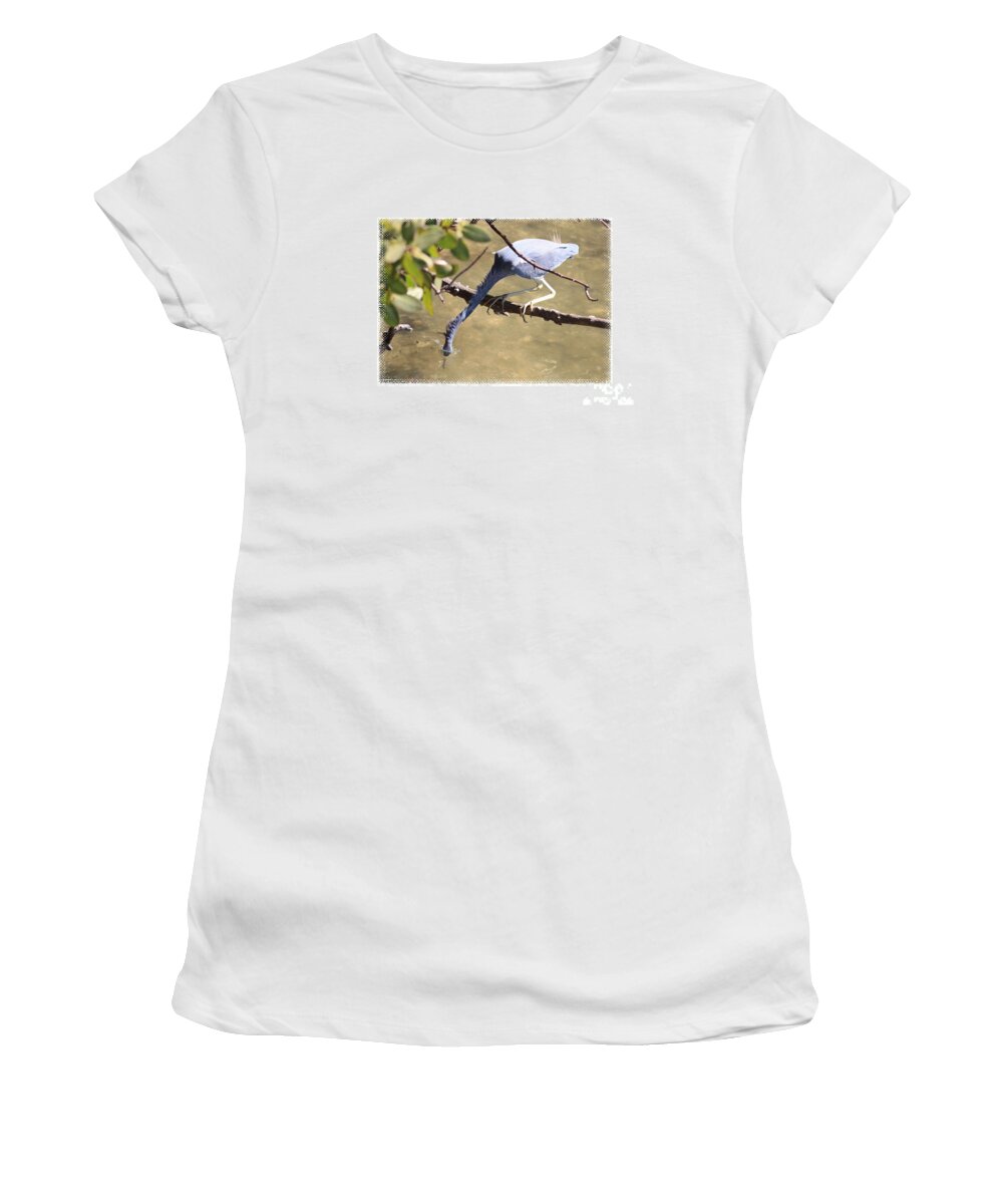 Little Blue Heron Women's T-Shirt featuring the photograph Little Blue Heron Going for Fish with Framing by Carol Groenen