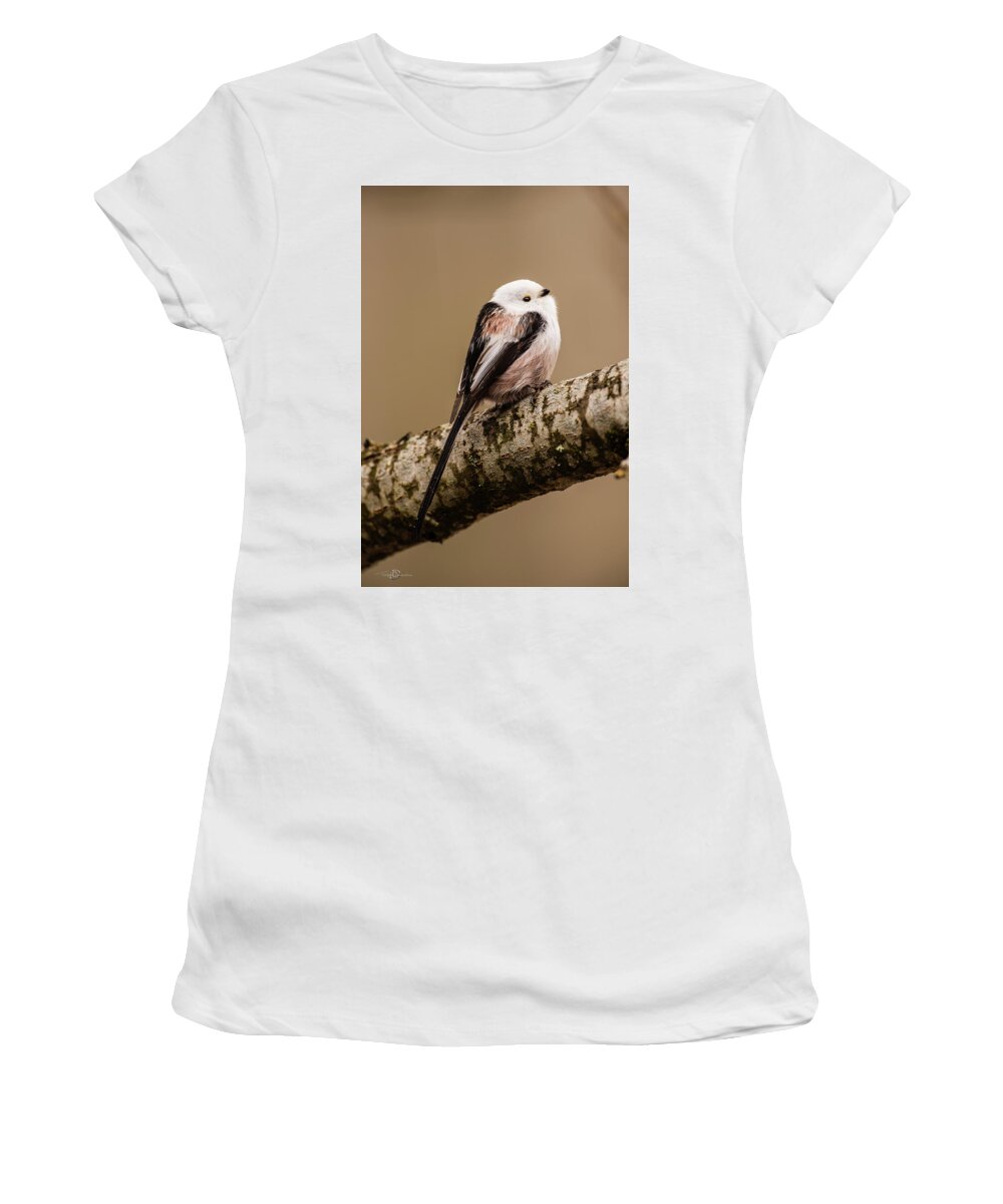 Long-tailed Tit Women's T-Shirt featuring the photograph Long-tailed tit on the oak branch by Torbjorn Swenelius