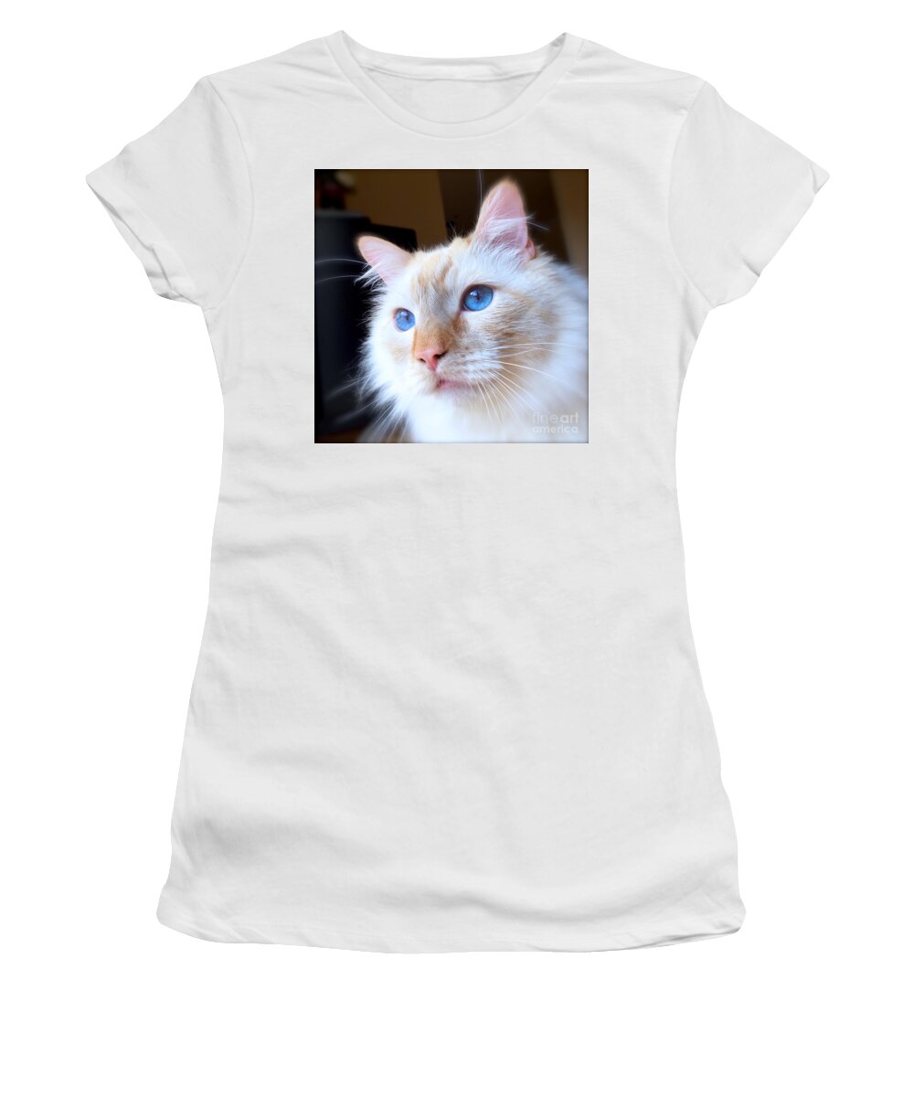 Animal Women's T-Shirt featuring the photograph Looking out the window by Wonju Hulse
