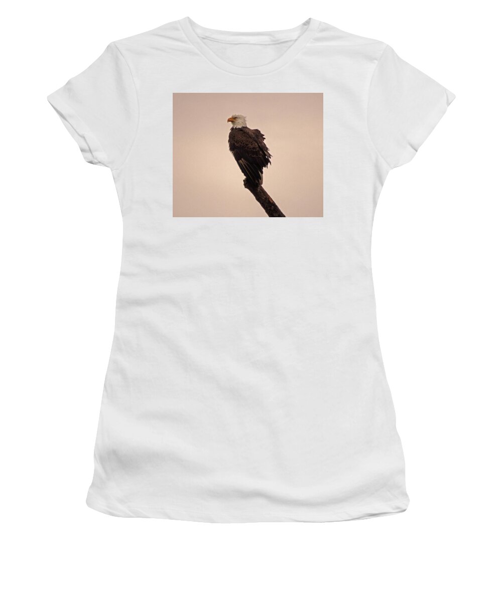 American Women's T-Shirt featuring the photograph Looks Like Reign by Bob Geary