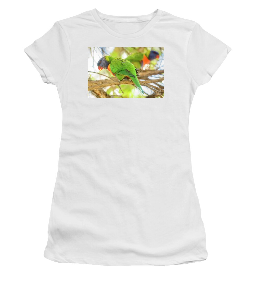 Wildlife Women's T-Shirt featuring the photograph Lorrikeets 02 by Werner Padarin