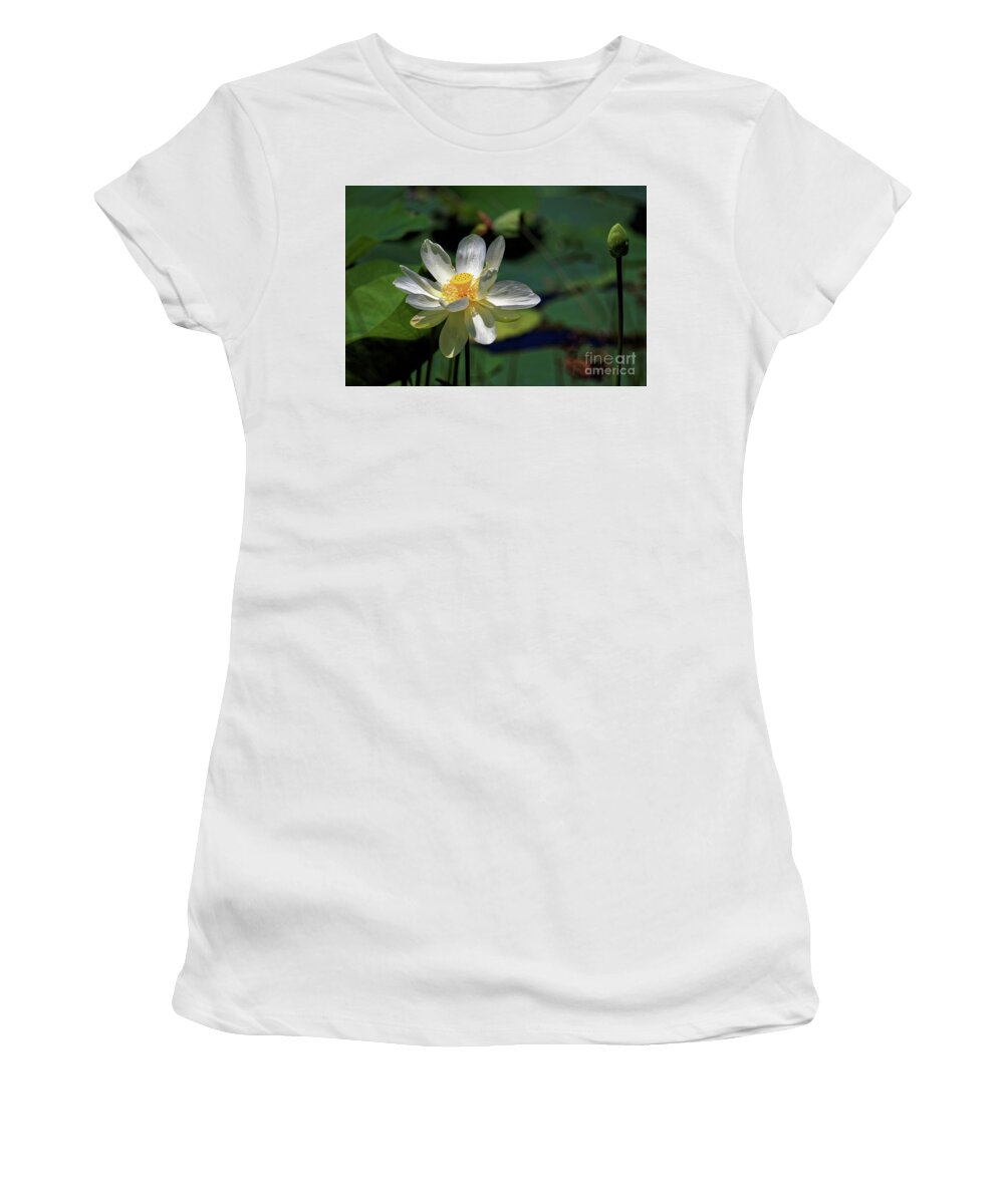 Lotus Women's T-Shirt featuring the photograph Lotus Blossom by Paul Mashburn