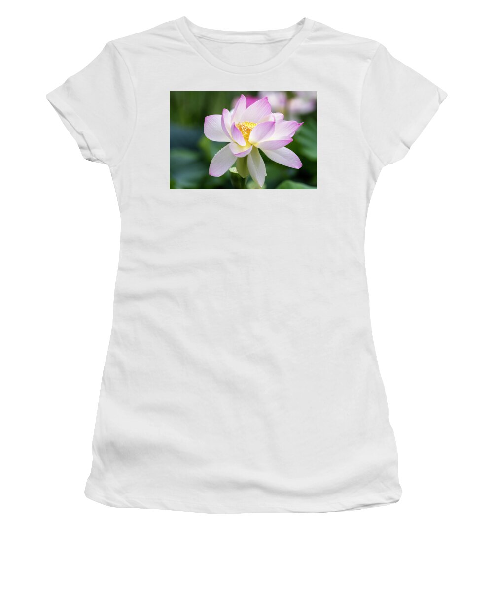 Lotus Women's T-Shirt featuring the photograph Lotus by Edward Kreis