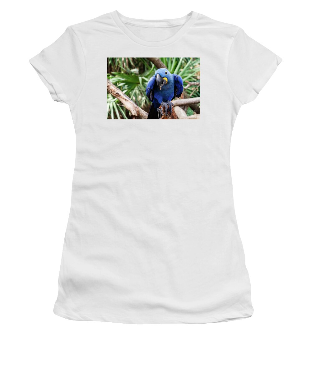 Parrot Women's T-Shirt featuring the photograph Lunch time by Les Greenwood