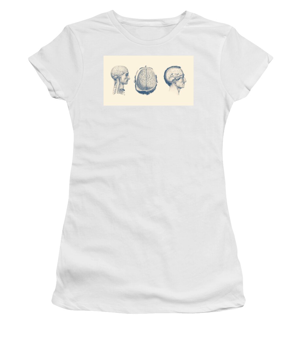Spinal Cord Women's T-Shirt featuring the drawing Male Brain Anatomy - Circulatory Focus by Vintage Anatomy Prints