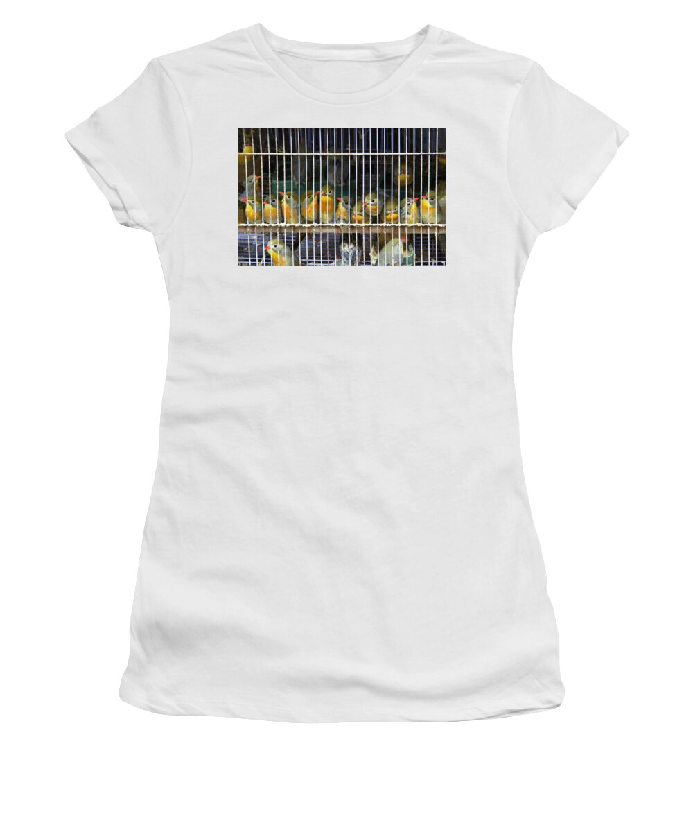 China Women's T-Shirt featuring the photograph Market Finches by Marla Craven