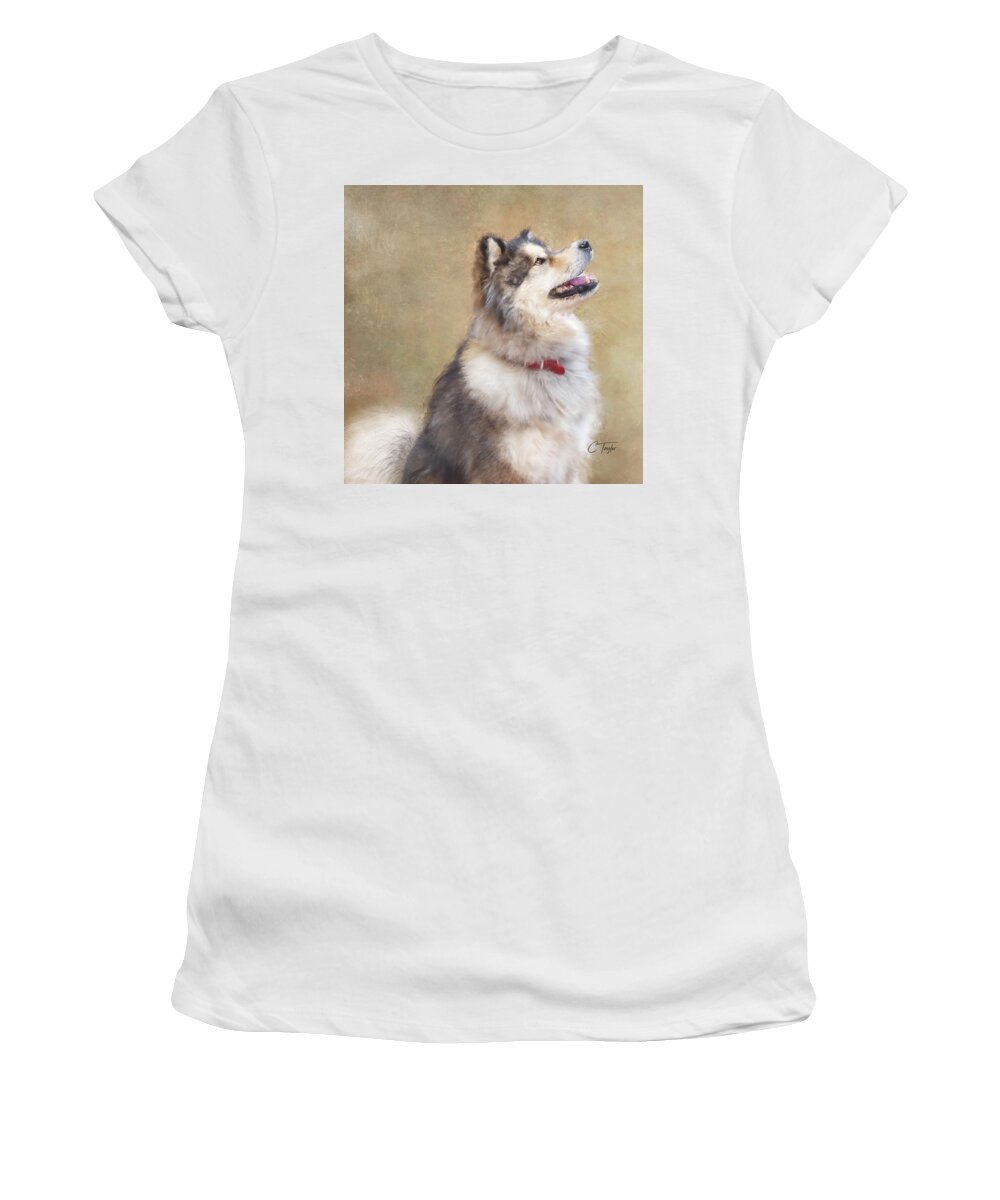 Dogs Women's T-Shirt featuring the painting Master of the Domain II by Colleen Taylor