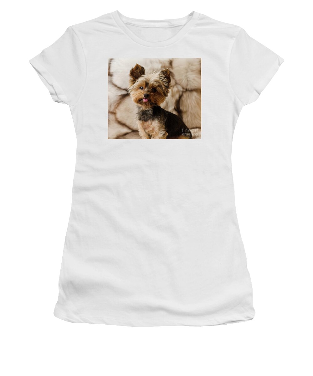 Yorkshire Terrier Women's T-Shirt featuring the photograph Melanie on Fur by Irina ArchAngelSkaya