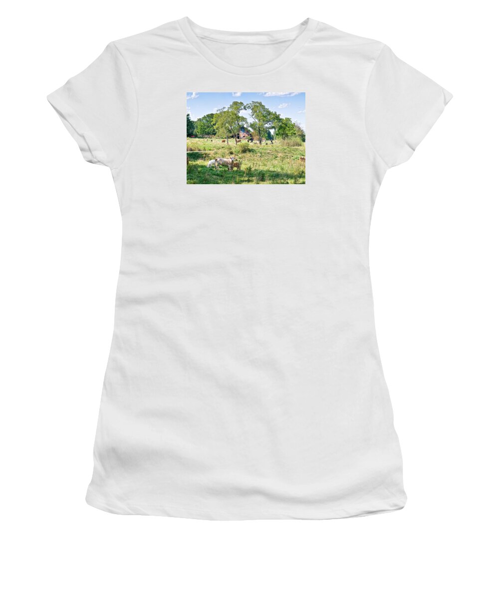 Cows Women's T-Shirt featuring the photograph Midwest Cattle Ranch by Scott Hansen
