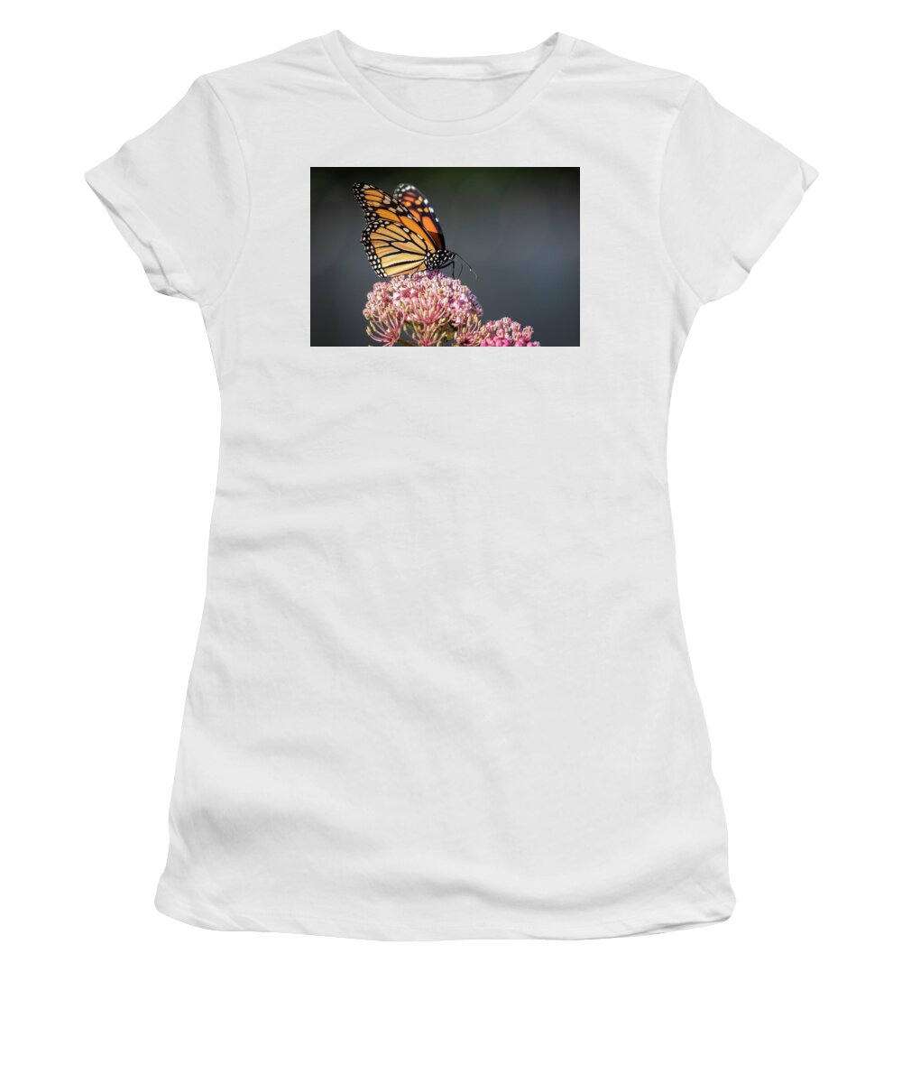 Monarch Butterfly Women's T-Shirt featuring the photograph Monarch 2018-6 by Thomas Young