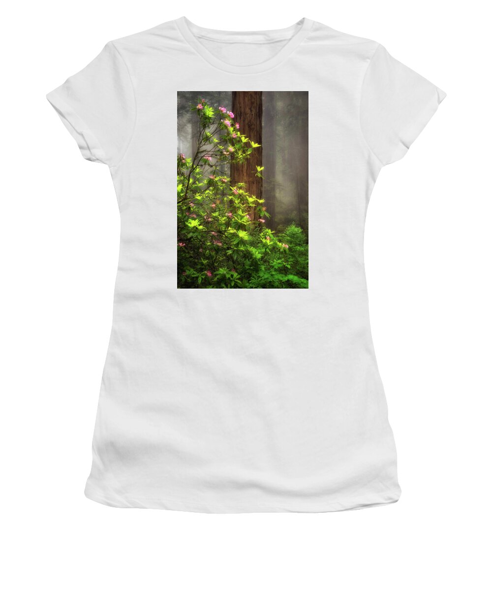 California Women's T-Shirt featuring the photograph Moody Forest by Nicki Frates