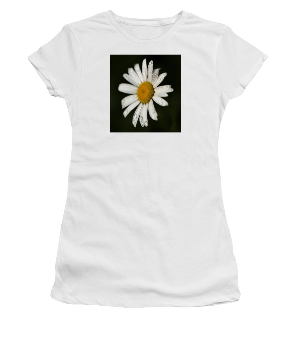  Women's T-Shirt featuring the photograph Morning Daisy by Dan Hefle