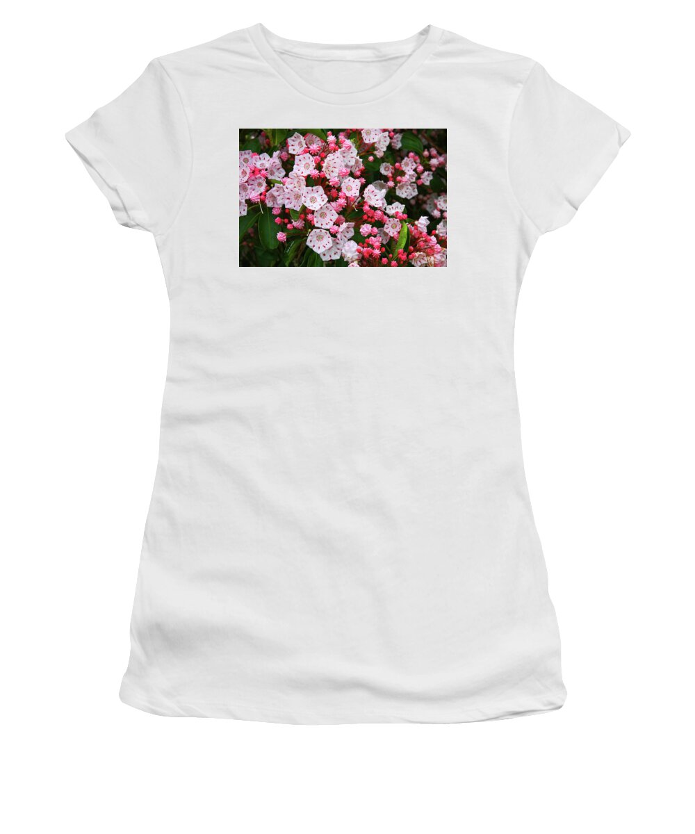 Mountain Laurels Women's T-Shirt featuring the photograph Mountain Laurels by Dale R Carlson