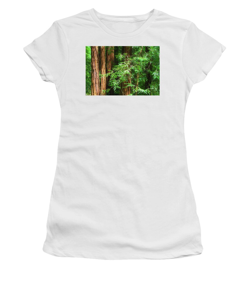 Muir Woods Afternoon Women's T-Shirt featuring the photograph Muir Woods Afternoon by Bonnie Follett
