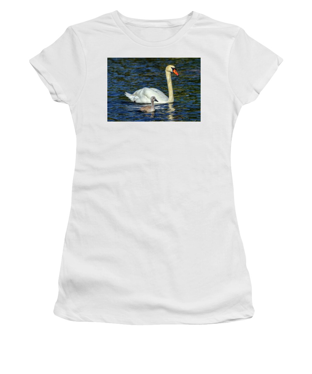 Swan Women's T-Shirt featuring the photograph Mute swan, cygnus olor, mother and baby by Elenarts - Elena Duvernay photo