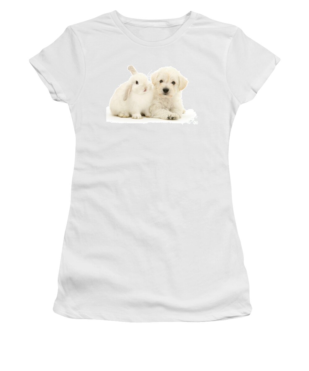 Highland White Terrier Women's T-Shirt featuring the photograph My Friend and I are All White by Warren Photographic