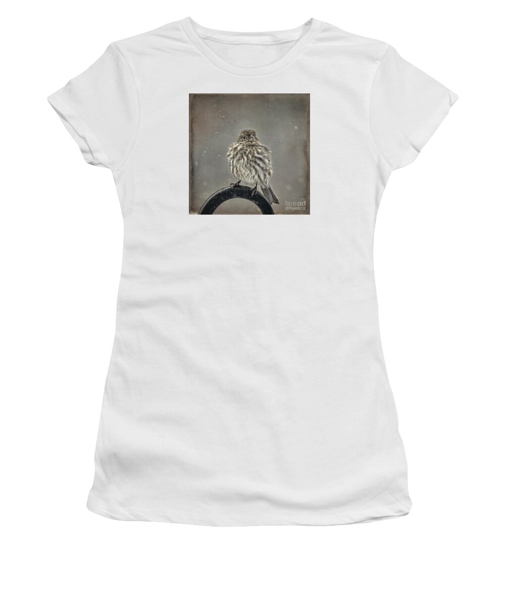 Wildlife Women's T-Shirt featuring the photograph My Winter Sparrow by Janice Pariza