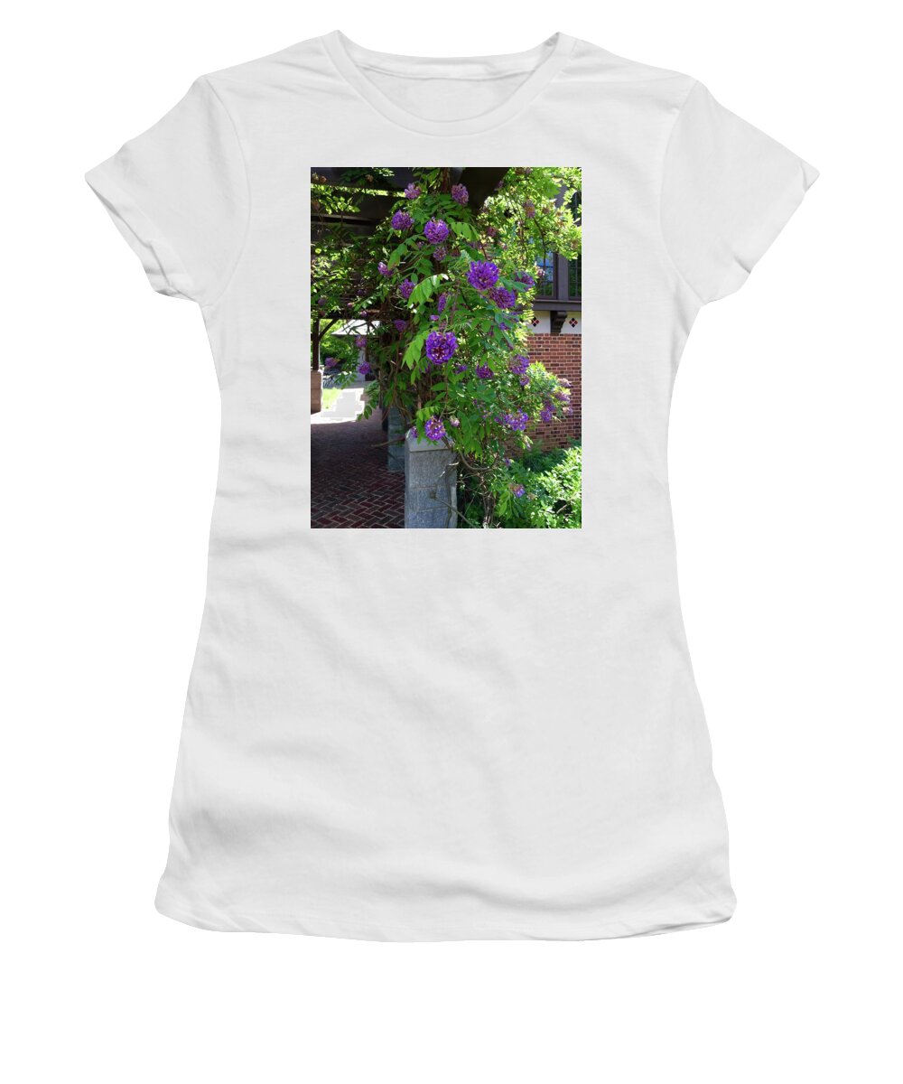 Garden Women's T-Shirt featuring the painting Native Wisteria Vine I by Angela Annas