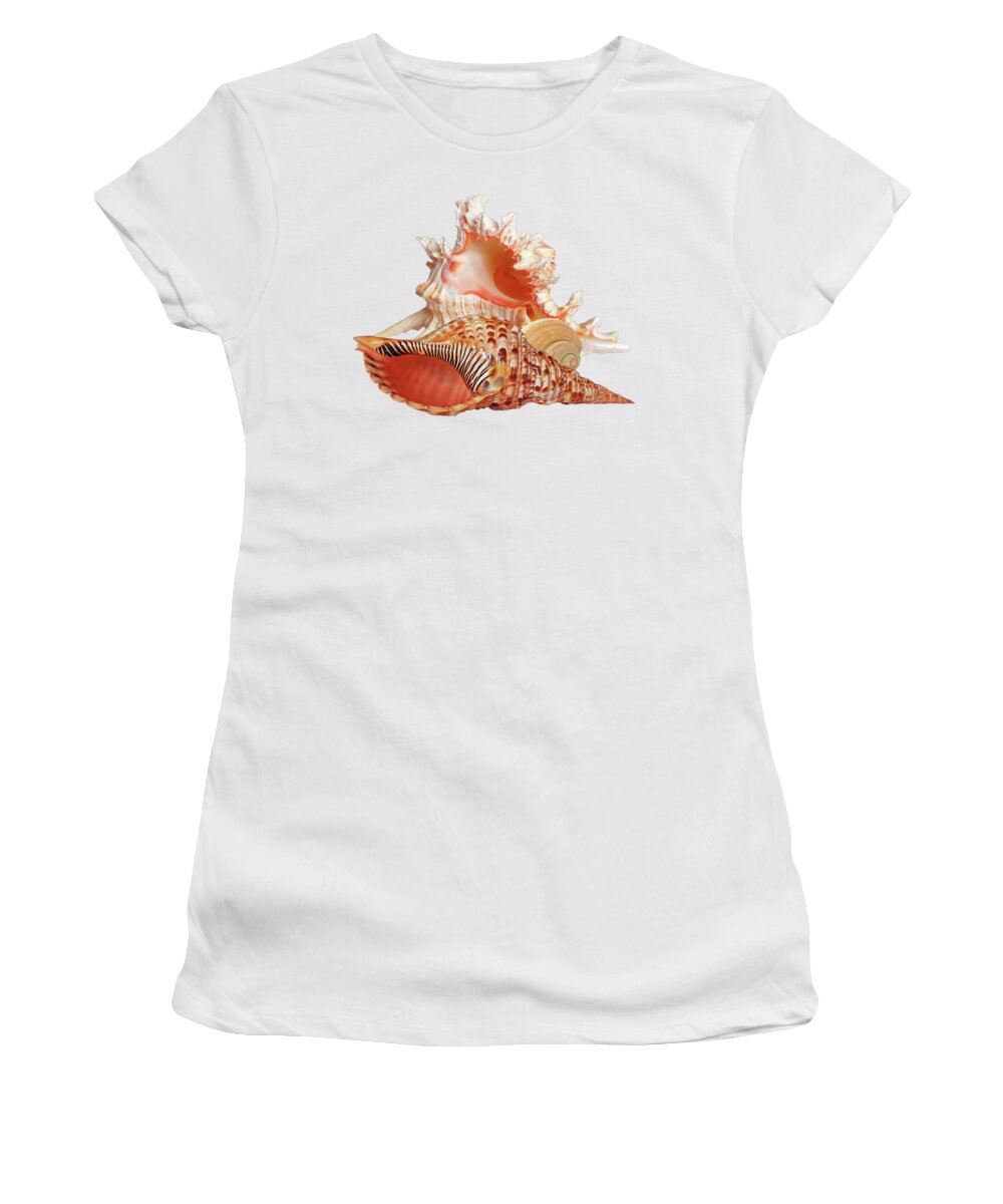 Shells Women's T-Shirt featuring the photograph Natural Shell Collection On White by Gill Billington