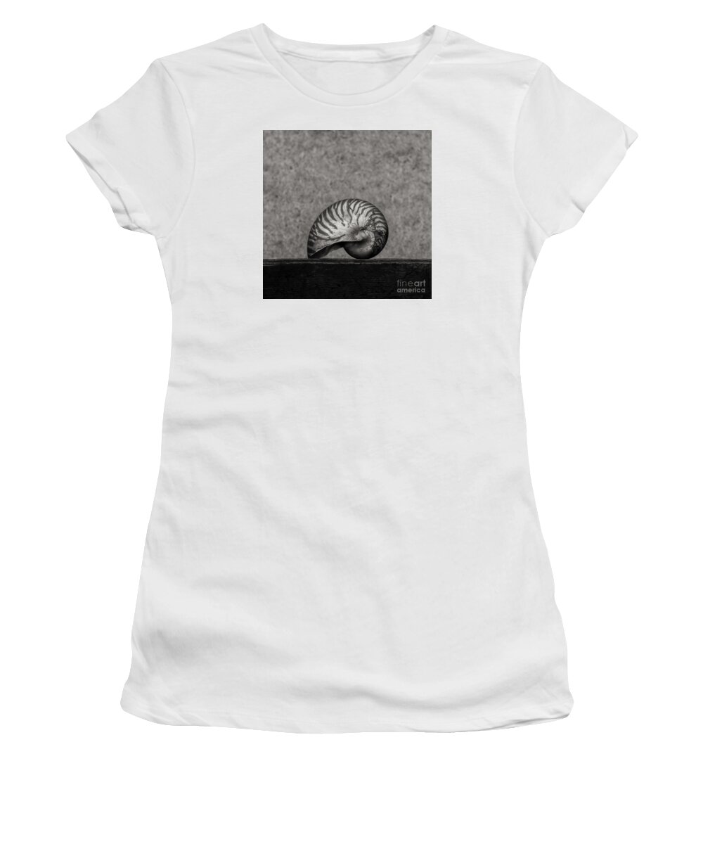 Seashell Women's T-Shirt featuring the photograph Nautilus by Clayton Bastiani