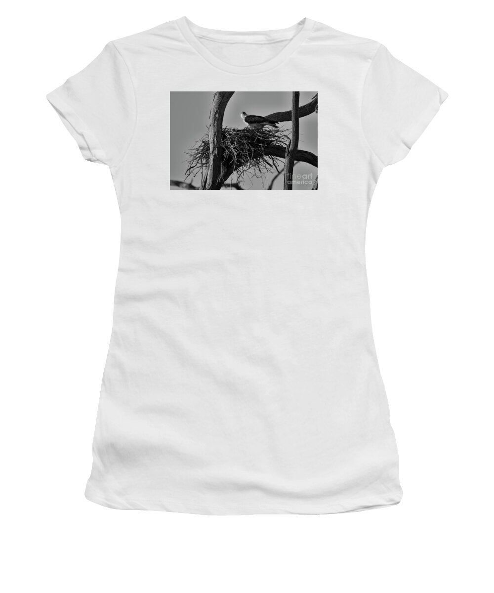 Brown Kite Women's T-Shirt featuring the photograph Nesting V2 by Douglas Barnard
