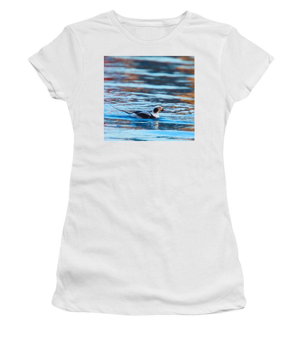 Old Squaw Women's T-Shirt featuring the photograph Old Squaw at dawn by Tony Mills