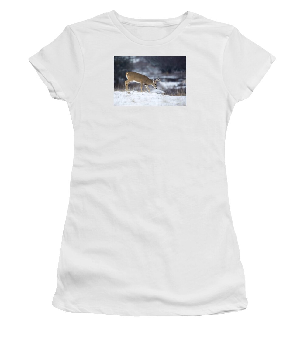 Deer Women's T-Shirt featuring the photograph On the Move by Douglas Kikendall