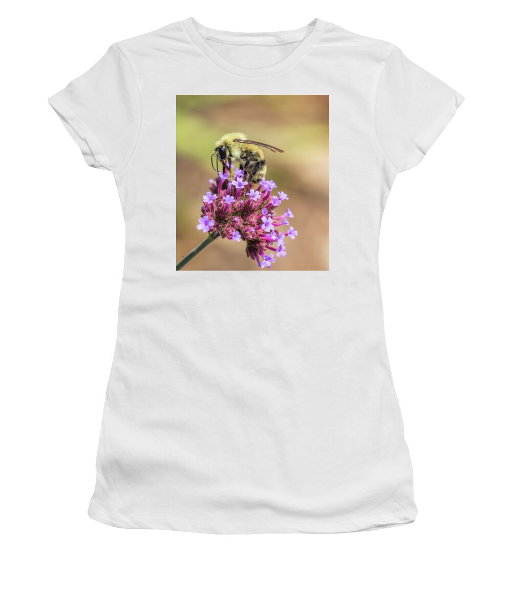 Bumble Bee Women's T-Shirt featuring the photograph On Top Of The World - Bee Style by Christy Cox