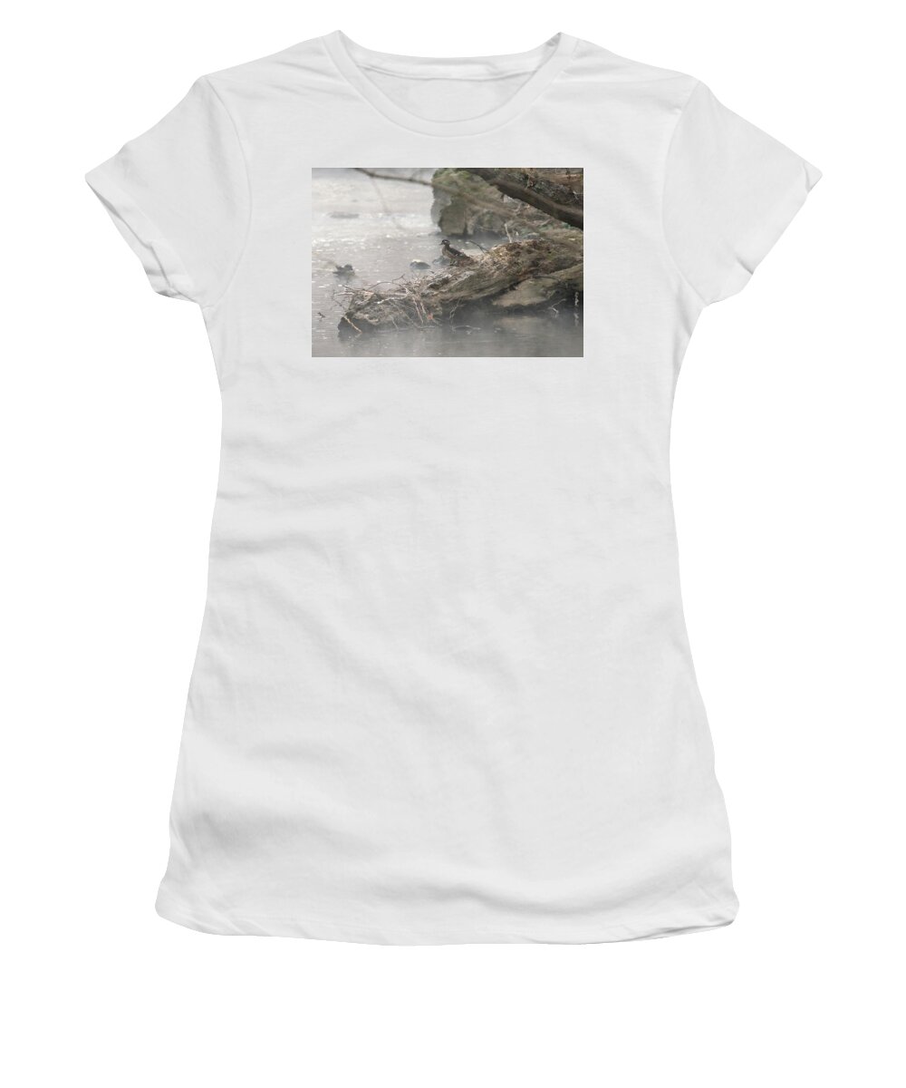 Animal Women's T-Shirt featuring the photograph One Little Ducky by Paul Ross
