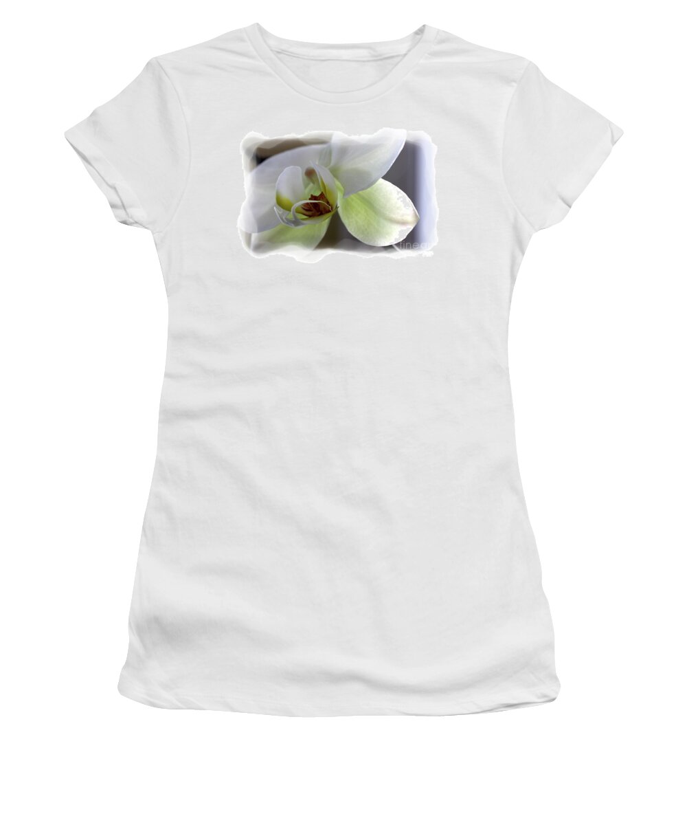 White Orchid Women's T-Shirt featuring the photograph Orchid for Valentines Day by David Bearden