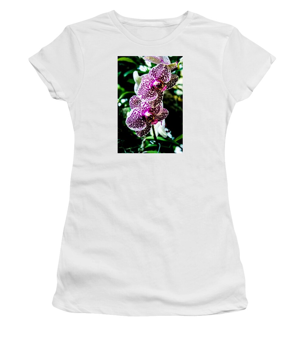 Orchid Women's T-Shirt featuring the photograph Orchid - PLA236 by Gordon Sarti