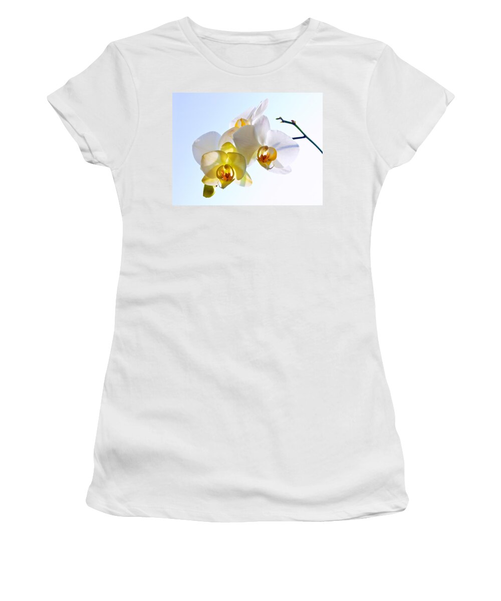 Russian Artists New Wave Women's T-Shirt featuring the photograph Orchid with Sky Background by Victor Kovchin