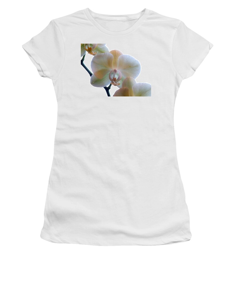 Flower Women's T-Shirt featuring the photograph Orchids 3 by Mike McGlothlen