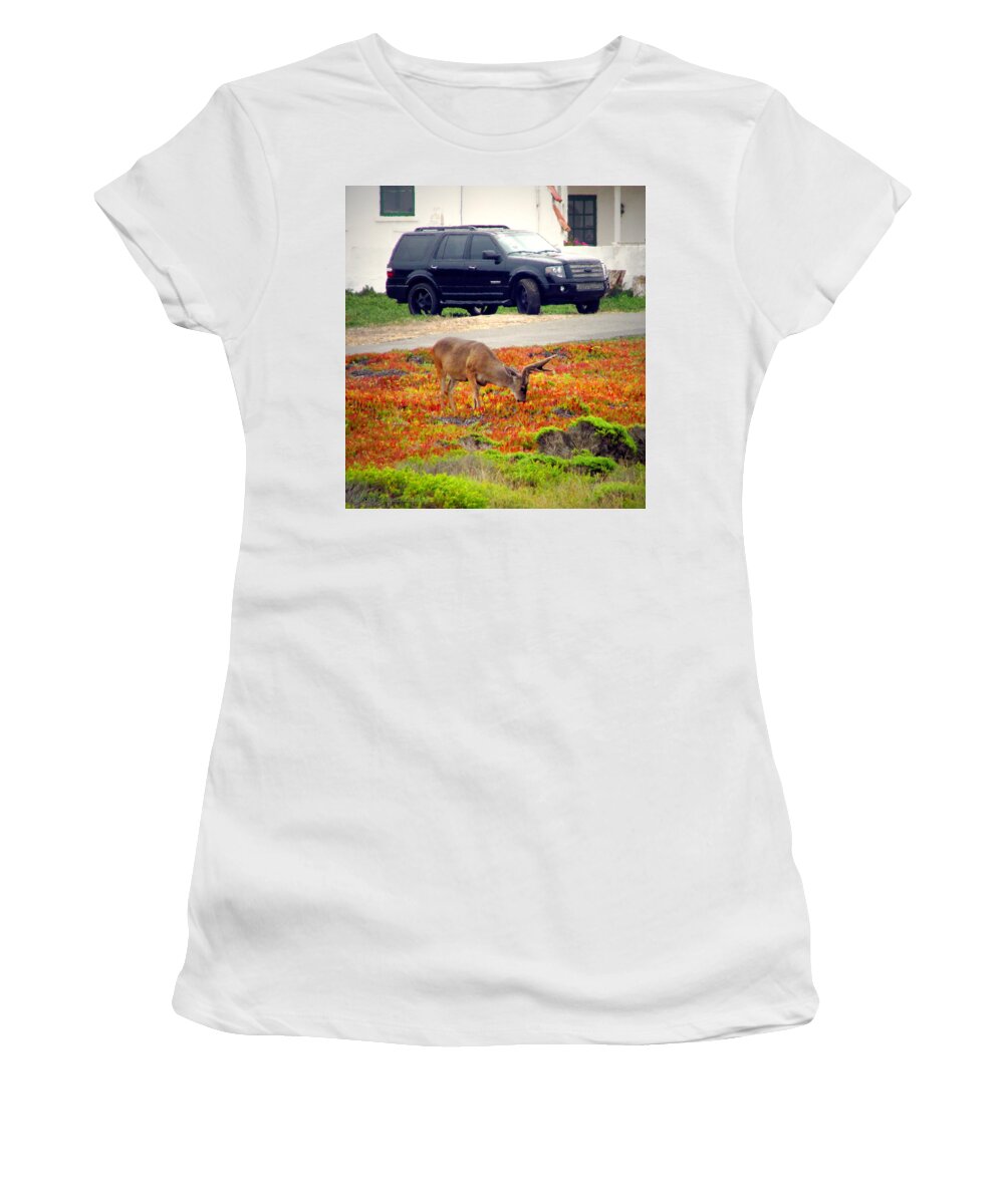 Deer Women's T-Shirt featuring the photograph Pacific Grove Deer In The Front Yard II by Joyce Dickens