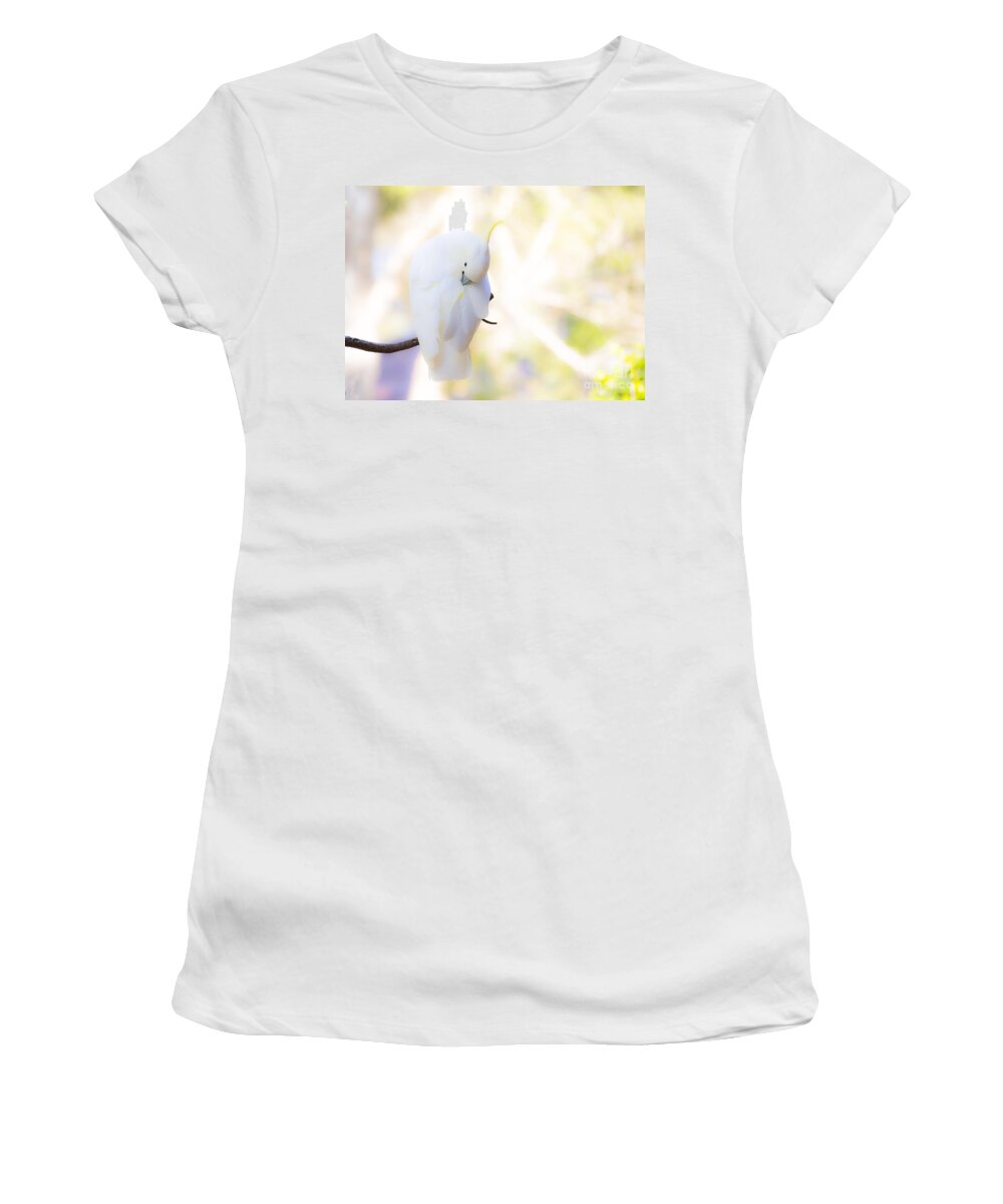 Sulphur Crested Cockatoo Preening Women's T-Shirt featuring the photograph Pastel cockatoo by Sheila Smart Fine Art Photography