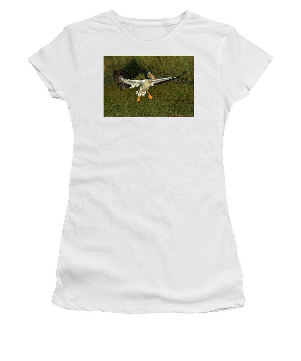 Pelican Women's T-Shirt featuring the photograph Pelicans 3 by Rick Mosher