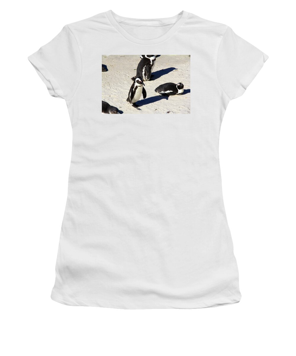 Penguin Women's T-Shirt featuring the photograph Penguins in Africa by Richard Krebs