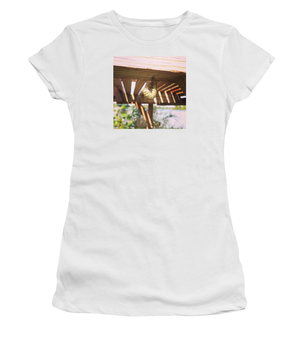 Caterpillar Women's T-Shirt featuring the photograph Peparing for Transformation by Rebecca Wood