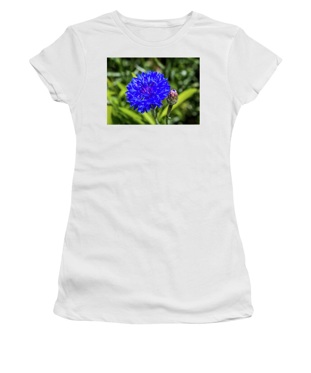 Cornflower Women's T-Shirt featuring the photograph Perky Cornflower by Susie Weaver