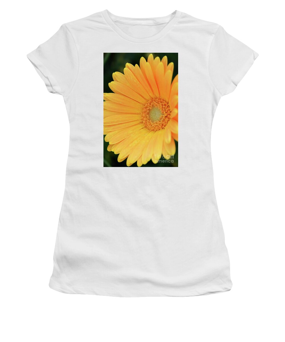 Flowers Women's T-Shirt featuring the photograph Petal Power by Cindy Manero