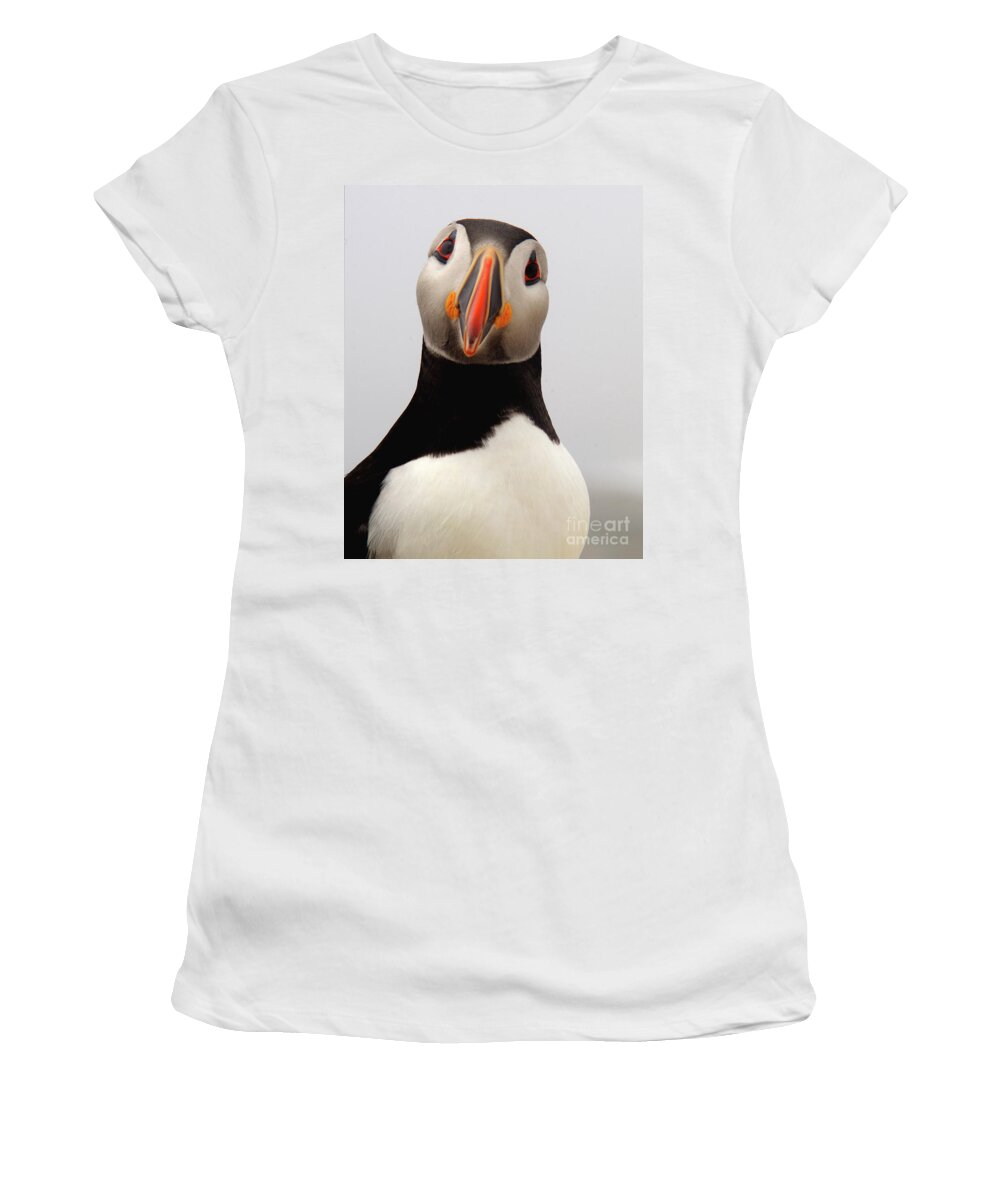 Puffin Women's T-Shirt featuring the photograph Peter the Puffin by Jane Axman